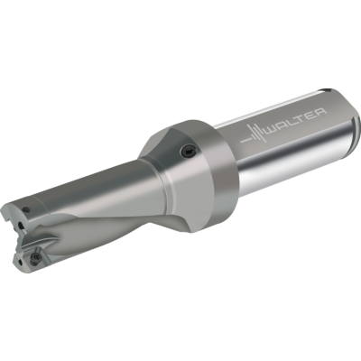 W-DI-D4120-02-23-00F25-P43-P-02-0 image