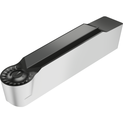 GX-F-RF7-SILVER-P-MV-AD kuva