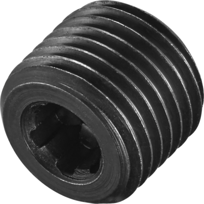 FS2113-P-MV-AD image