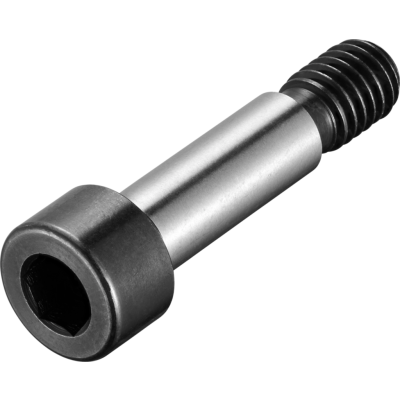 FS1095-P-MV-AD image