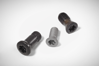 W-EZ-Z-SCREW-WITH-HEAD-WH-P-01