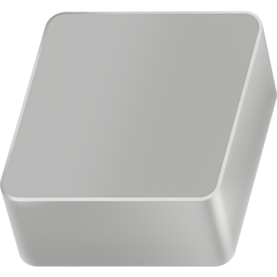 CNGN-T01020-CERBRIG-P-01 kuva