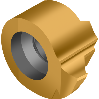 WE-GP-R-GOLD-P-01 kuva