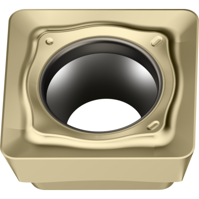 W-MI-SDGT09T3PDR-TTG-PVD-P-02-1 kuva