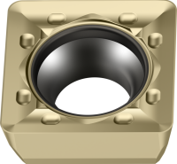 SPMT-F55-TTGPVD-P-01