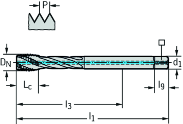 P TR TC121 M L1 D 01