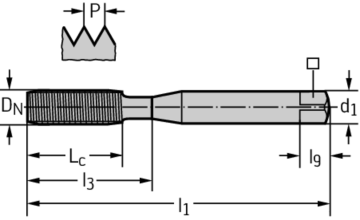 P TR PDYN D2061805 ZV D 01