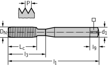 P TR PDYN 8061106 ZV D 01