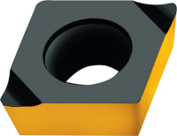 W DI CPGT X5 TIGER P 01