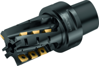 W MI M4258 MOD CAPTO BODY TTG P 01